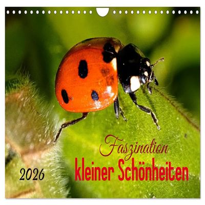 Fascination of Little Beauties (2026 Wall Calendar, DIN A4 Landscape), CALVENDO Monthly Calendar