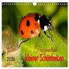 Fascination of Little Beauties (2026 Wall Calendar, DIN A4 Landscape), CALVENDO Monthly Calendar view 1