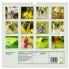 Fascination of Little Beauties (2026 Wall Calendar, DIN A4 Landscape), CALVENDO Monthly Calendar view 2