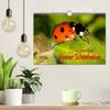 Fascination of Little Beauties (2026 Wall Calendar, DIN A4 Landscape), CALVENDO Monthly Calendar view 3