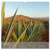Known and Unknown Mexico – 2026 Wall Calendar, DIN A2 Landscape view 4