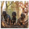 Dachshunds—Fun Characters on Short Legs (2026 Wall Calendar, DIN A4 Landscape) view 1