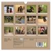 Dachshunds—Fun Characters on Short Legs (2026 Wall Calendar, DIN A4 Landscape) view 2