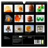 ei.ei.ei: Photographic Thoughts on the Egg — 2026 Wall Calendar, DIN A4 Landscape view 2