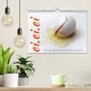 ei.ei.ei: Photographic Thoughts on the Egg — 2026 Wall Calendar, DIN A4 Landscape view 3