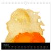 ei.ei.ei: Photographic Thoughts on the Egg — 2026 Wall Calendar, DIN A4 Landscape view 4