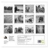 Emotional Moments: Elephants in Black & White (Premium Wall Calendar 2026, DIN A2 Landscape), Glossy Fine-Art Print: Lovable and Gentle Giants (CALVENDO Animals) view 2
