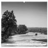 Emotional Moments: Elephants in Black & White (Premium Wall Calendar 2026, DIN A2 Landscape), Glossy Fine-Art Print: Lovable and Gentle Giants (CALVENDO Animals) view 4