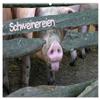 Piggy Antics (2026 Wall Calendar, DIN A2 Landscape) – CALVENDO Monthly Calendar: Big and Small Pigs view 1