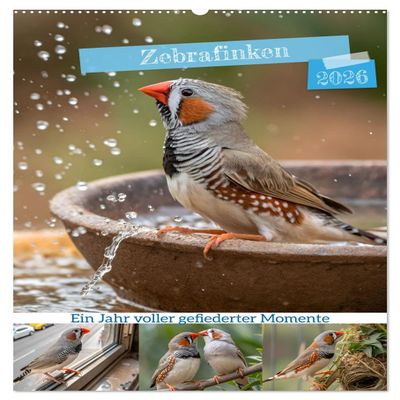 Zebra Finches – A Year of Feathered Moments (2026 Wall Calendar, DIN A2 Portrait)