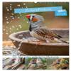Zebra Finches – A Year of Feathered Moments (2026 Wall Calendar, DIN A2 Portrait) view 1
