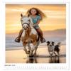 Fascination with Horseback Riding 2026 Premium Wall Calendar, DIN A2 Portrait view 3