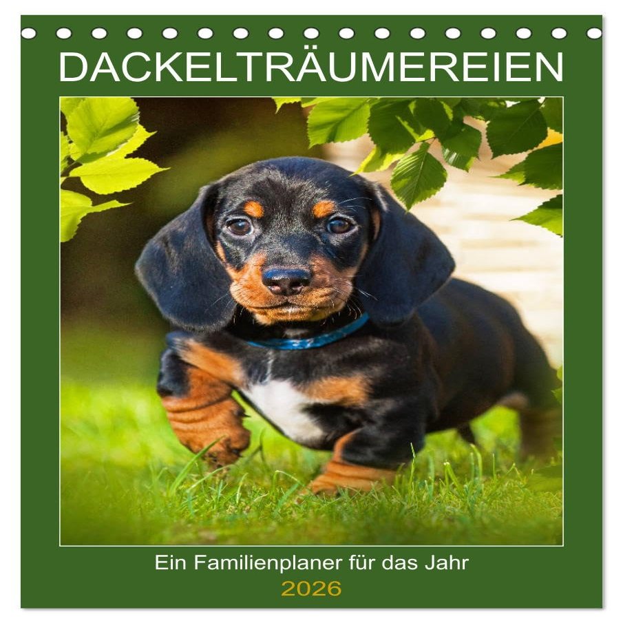 Dachshund Dreams – Family Planner 2026 Desk Calendar, DIN A5 Portrait