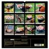 Red Panda 2026 Wall Calendar, DIN A2 Portrait view 2