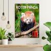 Red Panda 2026 Wall Calendar, DIN A2 Portrait view 3