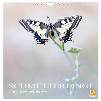 Butterflies - Acrobatics in the Wind (2026 Wall Calendar, DIN A4 Portrait)