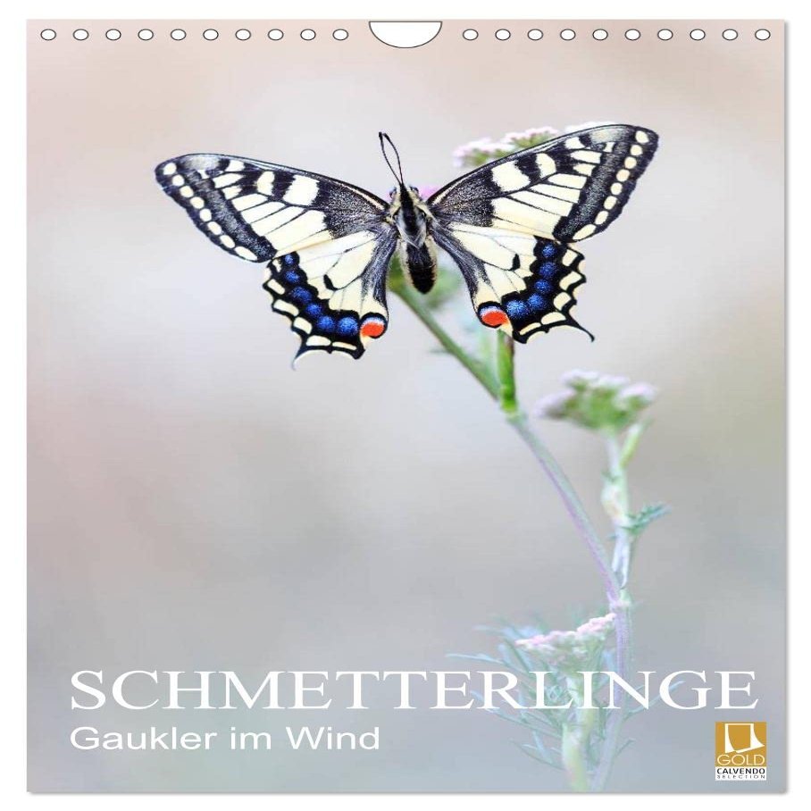 Butterflies - Acrobatics in the Wind (2026 Wall Calendar, DIN A4 Portrait)