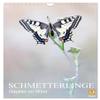 Butterflies - Acrobatics in the Wind (2026 Wall Calendar, DIN A4 Portrait) view 1