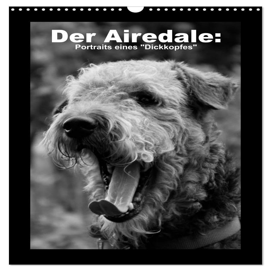 The Airedale: Portraits of a “Blockhead” (2026 Wall Calendar, DIN A3 Portrait), CALVENDO Monthly Calendar
