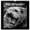 The Airedale: Portraits of a “Blockhead” (2026 Wall Calendar, DIN A3 Portrait), CALVENDO Monthly Calendar view 1