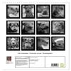 The Airedale: Portraits of a “Blockhead” (2026 Wall Calendar, DIN A3 Portrait), CALVENDO Monthly Calendar view 2