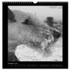 The Airedale: Portraits of a “Blockhead” (2026 Wall Calendar, DIN A3 Portrait), CALVENDO Monthly Calendar view 4