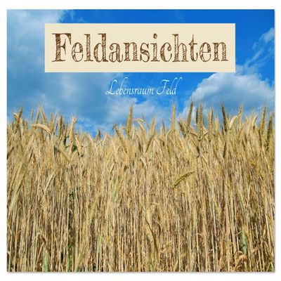 Field Views — 2026 Wall Calendar, DIN A3 Landscape