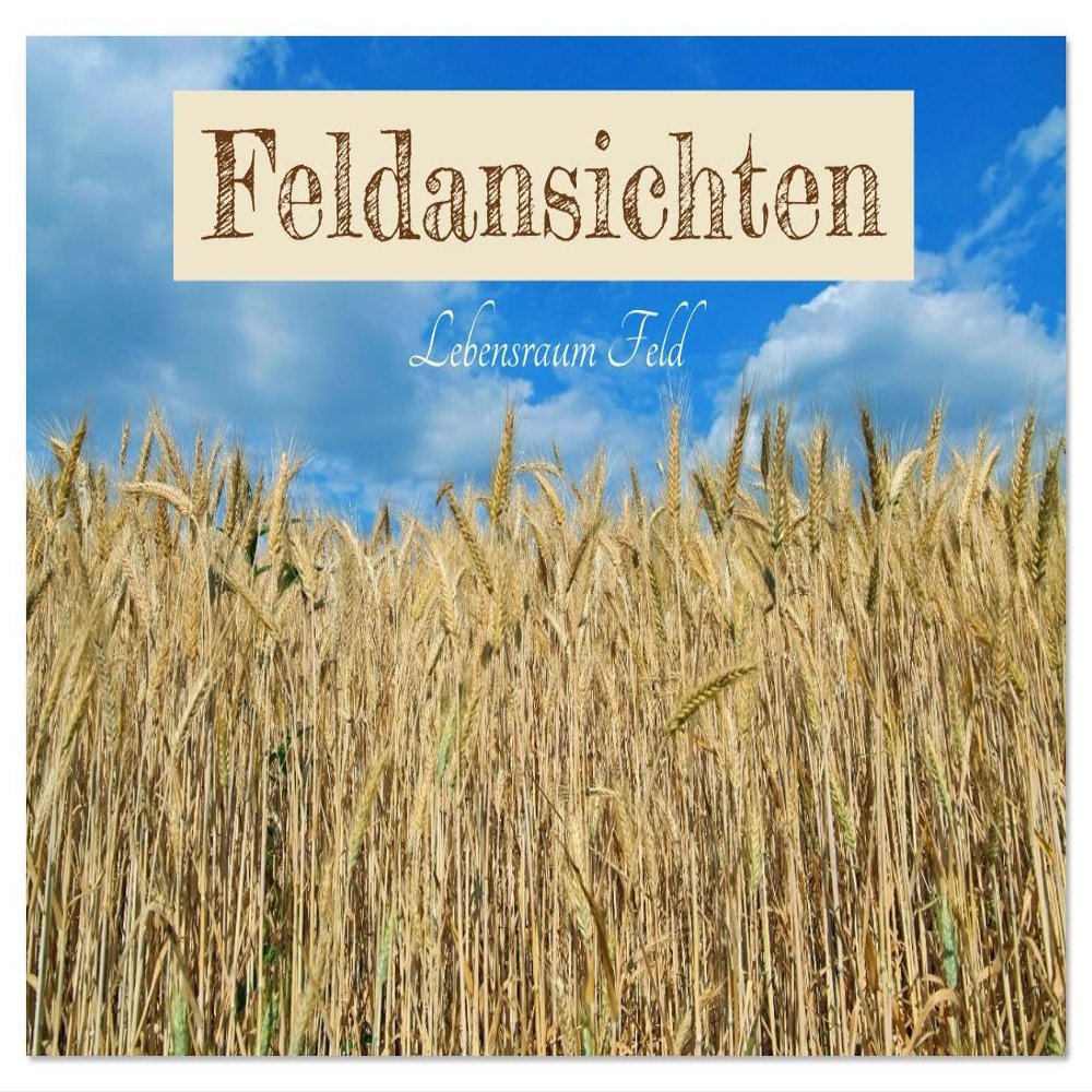 Field Views — 2026 Wall Calendar, DIN A3 Landscape