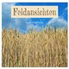 Field Views — 2026 Wall Calendar, DIN A3 Landscape view 1