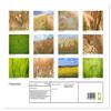 Field Views — 2026 Wall Calendar, DIN A3 Landscape view 2