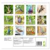 Pigeons: Colorful Plumage and Magnificent Feather Crowns (2026 Wall Calendar, DIN A4 Landscape) view 2