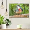 Pigeons: Colorful Plumage and Magnificent Feather Crowns (2026 Wall Calendar, DIN A4 Landscape) view 3