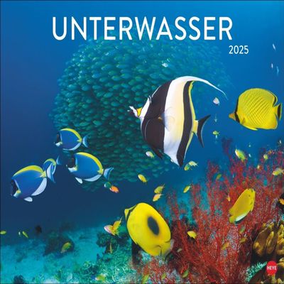 Underwater Poster Calendar 2025: Fascinating Photos in a Large Decorative Format