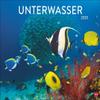 Underwater Poster Calendar 2025: Fascinating Photos in a Large Decorative Format view 1