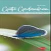 Good Thoughts Bookmark Calendar 2025: Bookmark calendar with photos and inspiring quotes, 6 x 18 cm, for ... or hanging view 1
