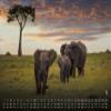 GP-Fever.de Animal Calendar 2027 – Africa’s Wildlife Wall Calendar, DIN A2 view 2