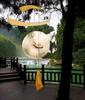 Woodstock Emperor Gong - Natural view 2