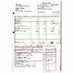 Yayoi Mail Payment Slip with Invoice (Subscriber Charge) 334 406 (Japan Import)