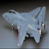 Hasegawa F-14D Super Tomcat CVW4 USN Fighter 1:48 by view 2