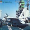 Hasegawa F-14D Super Tomcat CVW4 USN Fighter 1:48 by view 3