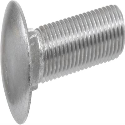 Hillman 832510 Stainless Steel Carriage Bolt, 1/4 x 1, Amtsheftung, 832618