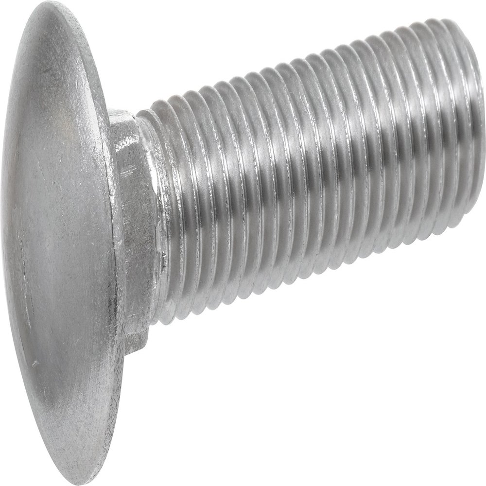 Hillman 832510 Stainless Steel Carriage Bolt, 1/4 x 1, Amtsheftung, 832618