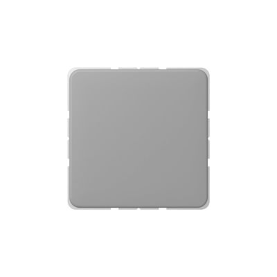 Jung CD594-0GR Blank Cover