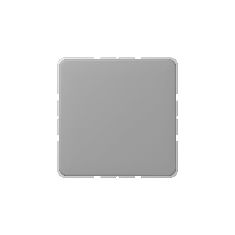 Jung CD594-0GR Blank Cover