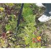 Draper 88799 Carbon Steel Weeder view 3