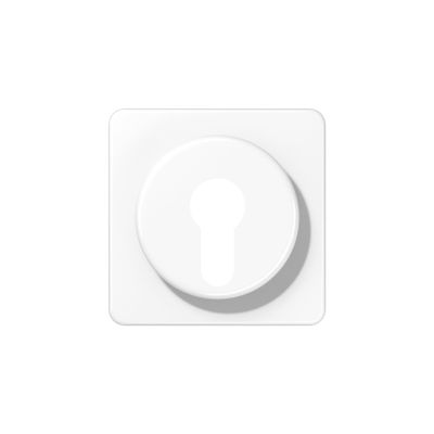 Jung CD528WW Cover for Key Switch