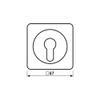 Jung CD528WW Cover for Key Switch view 2
