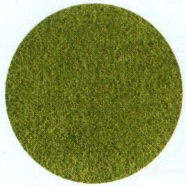 5 mm Wild Grass, Meadow Green (Large Bag)