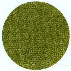 5 mm Wild Grass, Meadow Green (Large Bag)