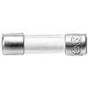 Siemens 8WA1822-7EF81 Glass Fuse 5 x 25 mm, 2.5 A, 250 V AC, Slow-Blow, 10 Pack view 1